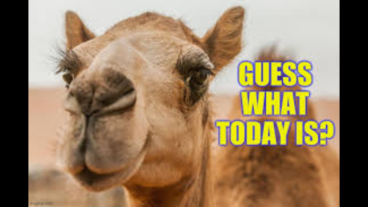 Coffee with MarkZ 04/13/2022