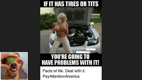 Memes That Will 99.873% Make You Laugh. (e98)