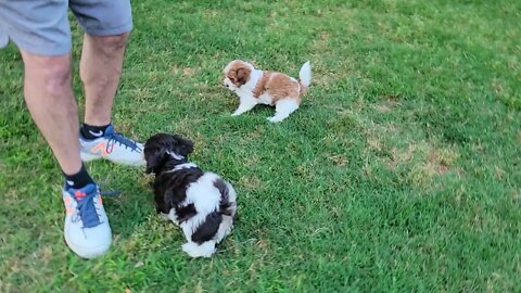 & Then There Were 2 🥺(5)