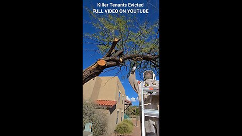 Killer Tenants Evicted