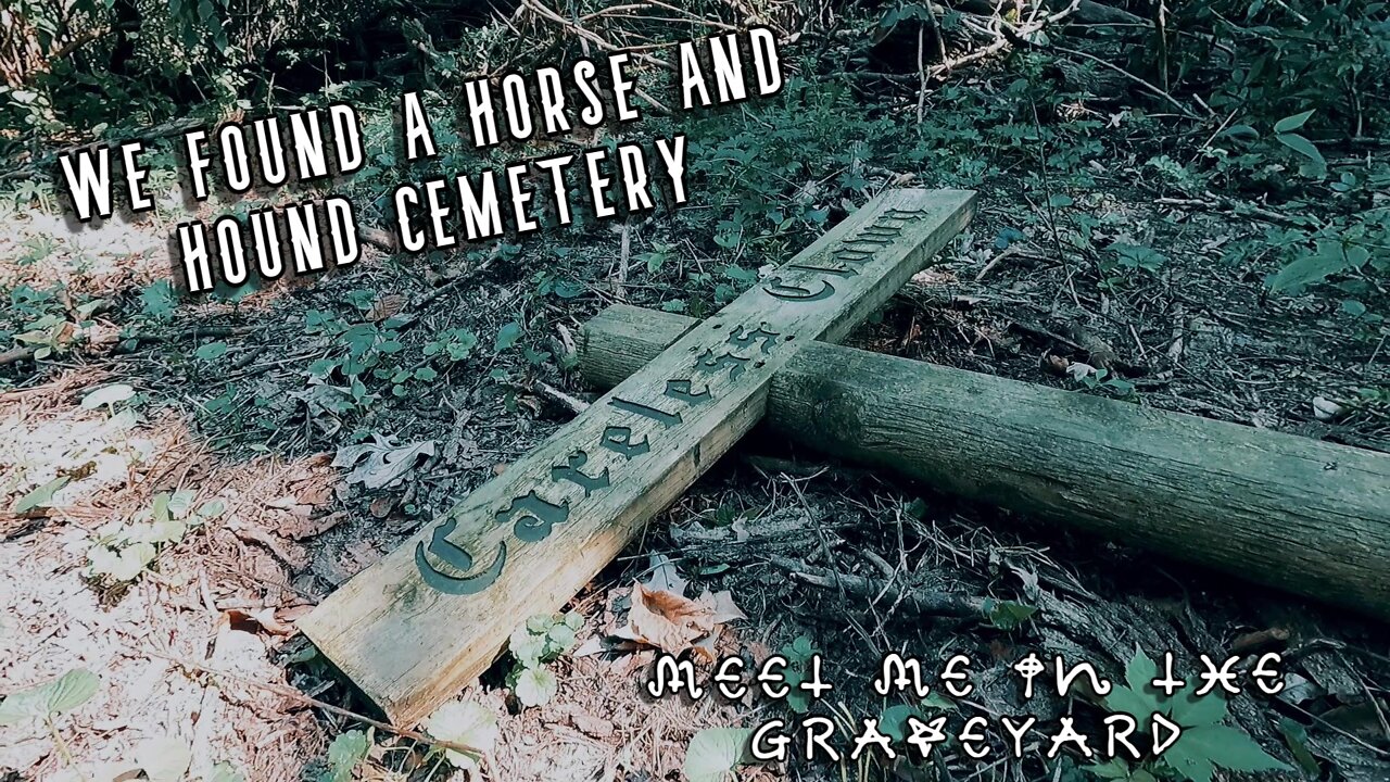 Horse and Hound Cemetery at St. James Farm - meet me in the graveyard