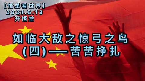 KWT1927苦苦挣扎——如临大敌之惊弓之鸟(四)20210613-6【悟里看世界】