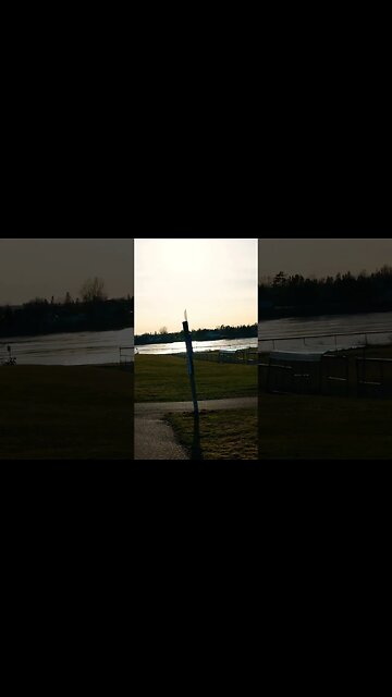 Sigma 30mm f1.4 Lens Test Vertical Video