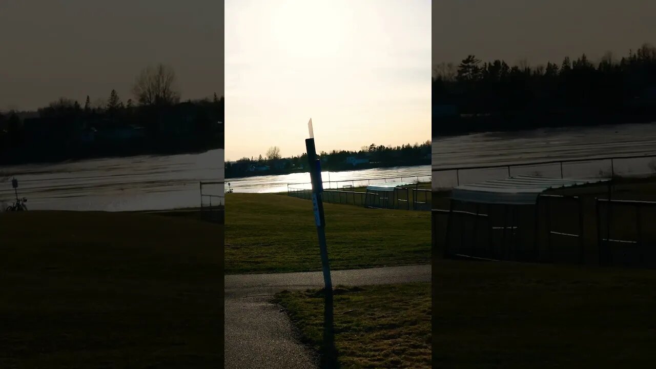 Sigma 30mm f1.4 Lens Test Vertical Video