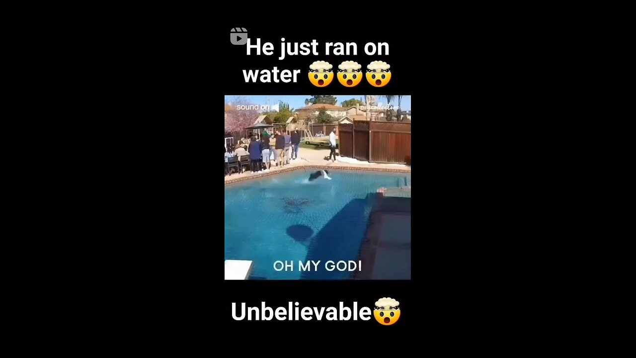 Dog just run on water unbelievable