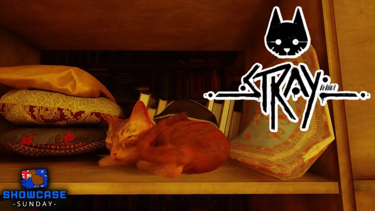 Stray. An Adorable Feline Walking Adventure - Showcase Sunday