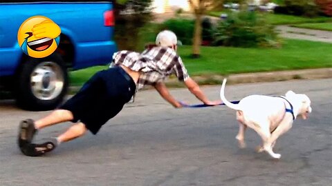 FUNNIEST ANIMALS YOU EVER SEE IN LIFE #funny animals