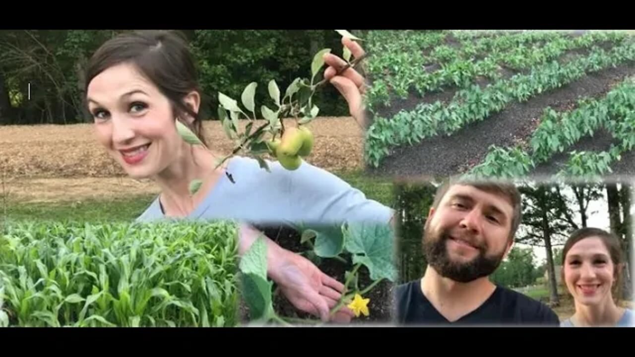 Full Homestead Garden Tour! Farm To Table, Organic!