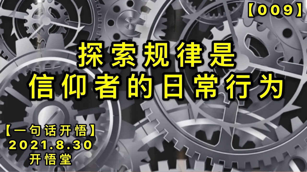 【信009】探索规律是信仰者的日常行为20210830【一句话开悟】