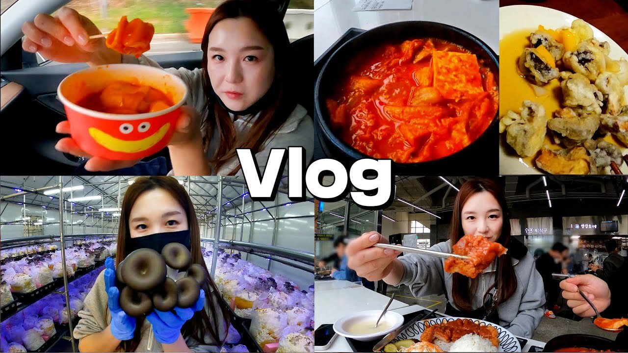 So Juicy!! This is... mushroom..??Duri Mushroom Farm, oyster, shiitake mushroom, kalguksuㅣHamzy Vlog