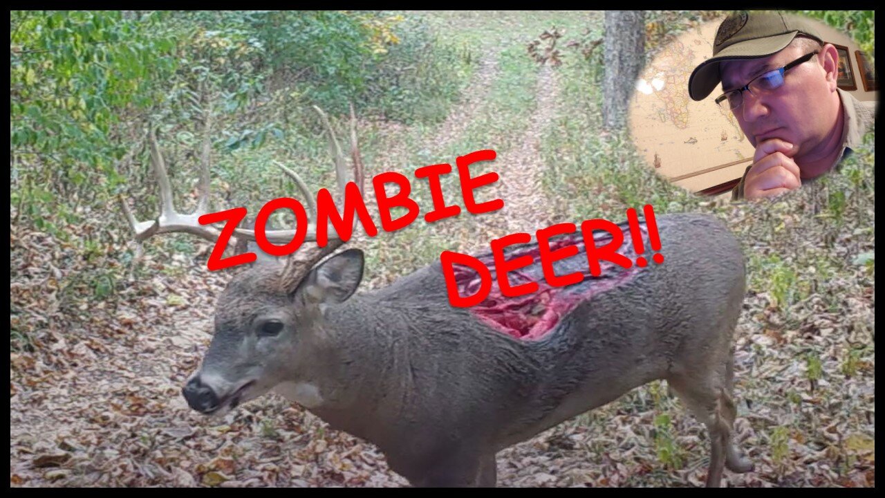 Zombie Deer | REACTION