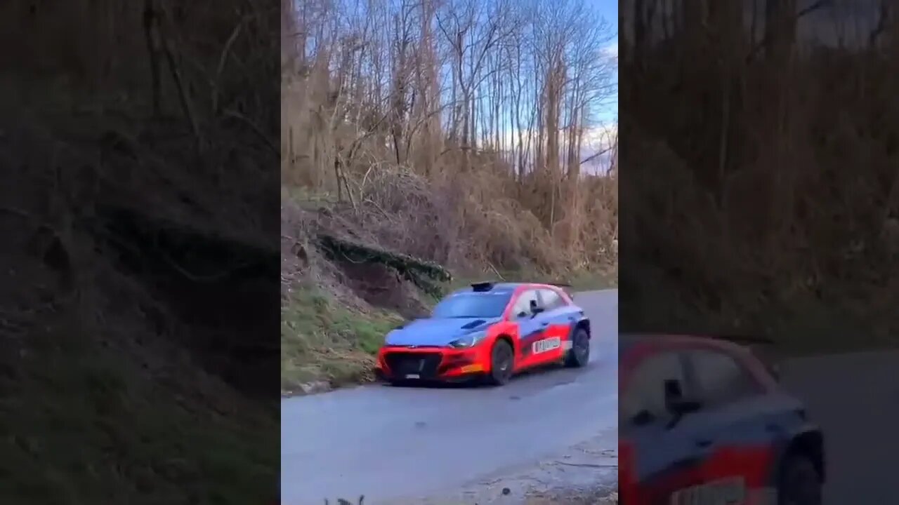 WRC RALLY = SEE WHAT HAPPENS DURING THE VIDEO = Léo Sócrates