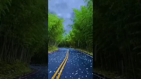 Top Most Amazing video The view😍