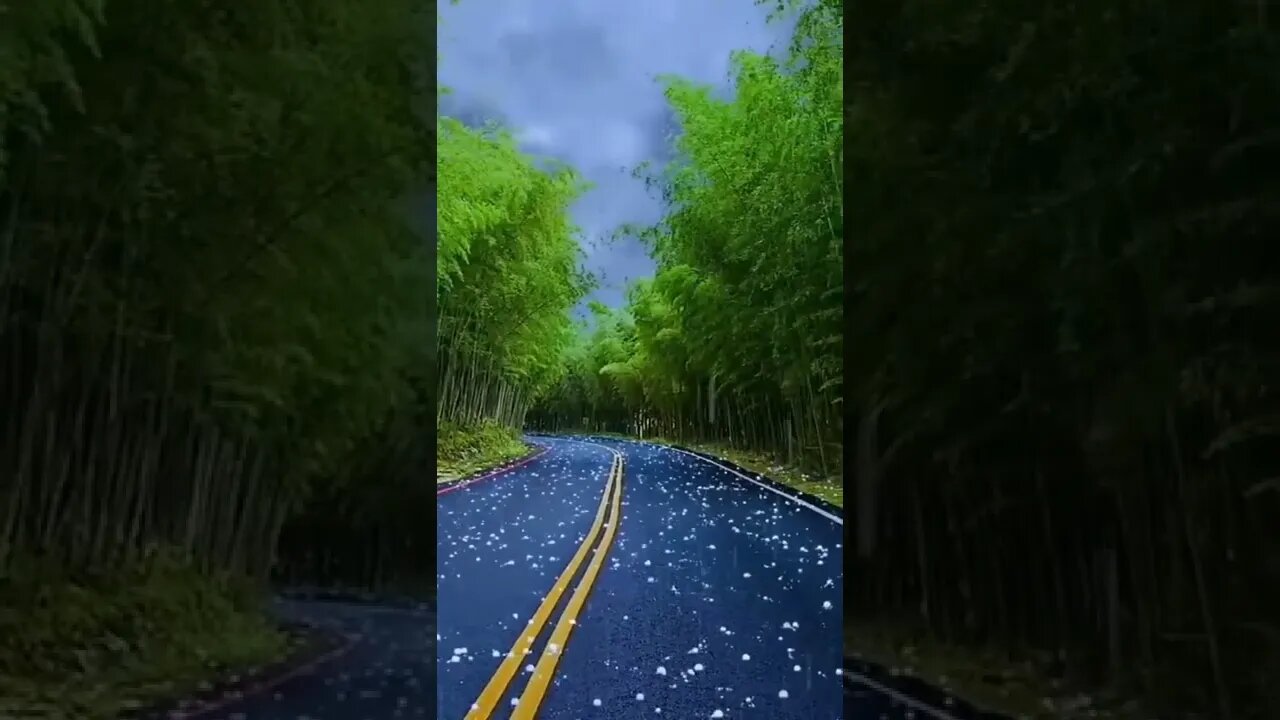 Top Most Amazing video The view😍