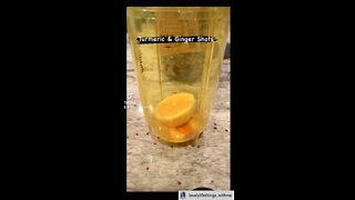 Turmeric & Ginger shots