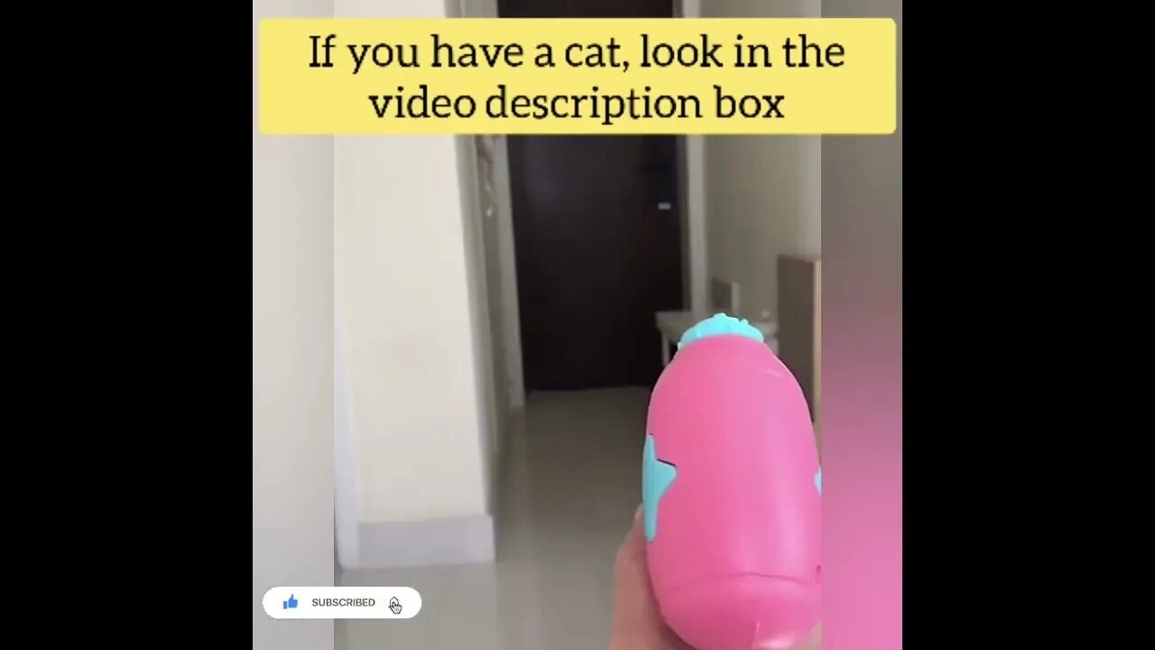 cute cat videos 😹 funny videos 😂121