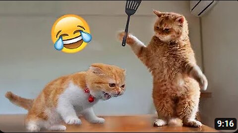 est Funny Animal Videos of the year (2023), funniest animals ever. relax with cute animals video