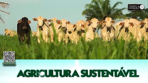 Agricultura Sustentável - com Frederico Olivi