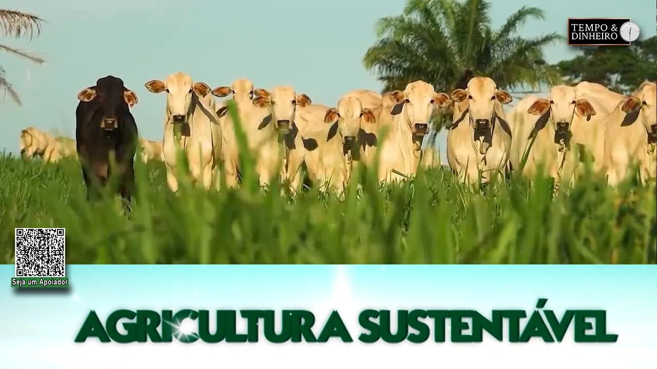 Agricultura Sustentável - com Frederico Olivi