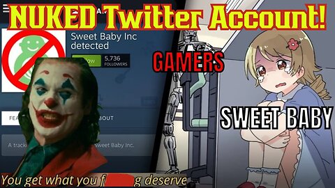 Sweet Baby Inc Fan Blame Backlash Leads To NUKED X (Twitter) Account For Employee | Saints Row