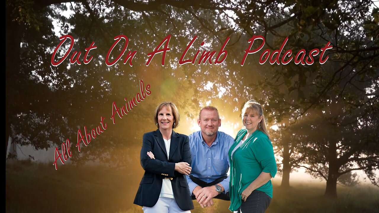 All About Animals ~ Ep. 13 ~ May 2023