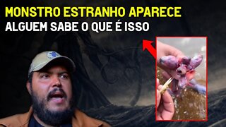 Monstro estranho aparece - Alguem sabe o que é isso