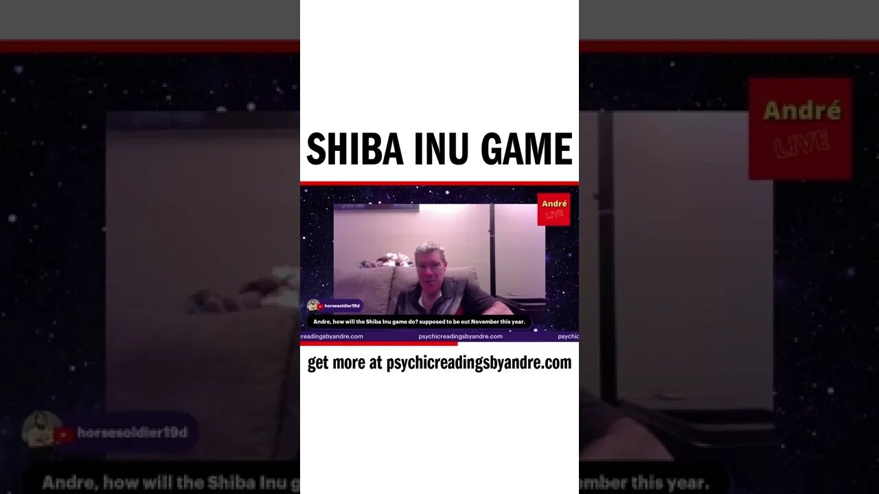 Shiba inu game