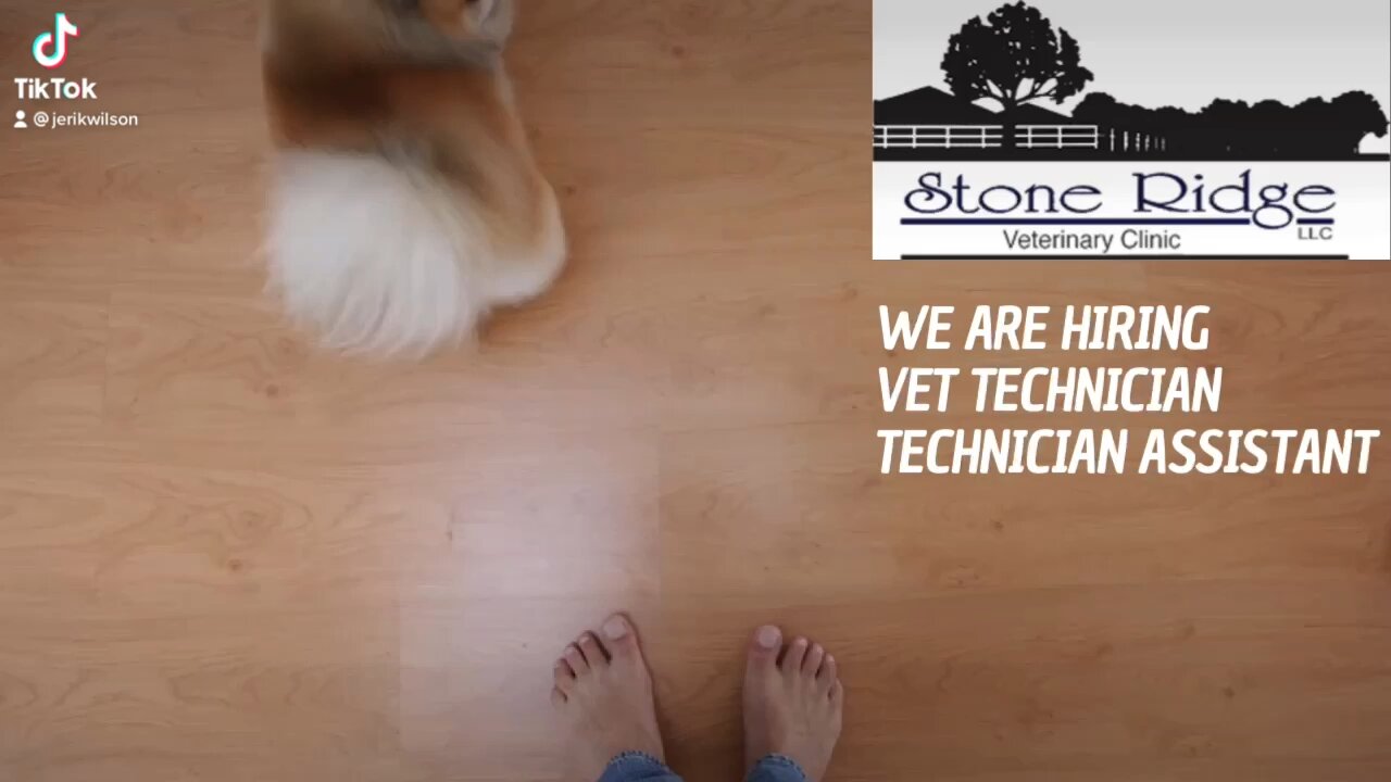 Stone Ridge Veterinary Clinic Riverton Utah