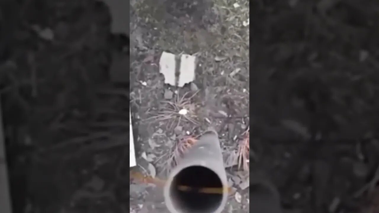Incredible Footage Showing a Drone Dropping a F1 Grenade down a Stovepipe in Russia/Ukraine War