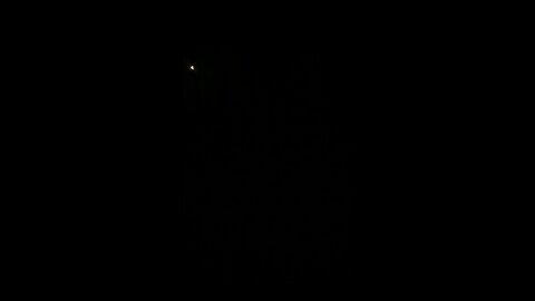 Cross fox or Bigfoot. Willow, Alaska