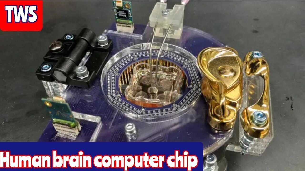 They Made A Real Human Brain Computer Chip