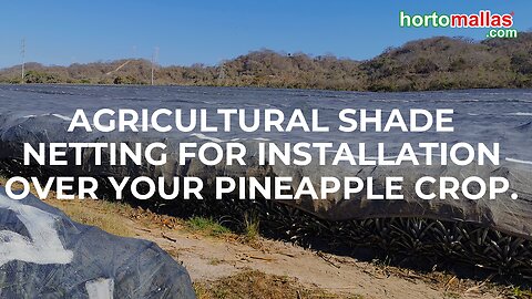 Agricultural shade netting for installation over your pineapple crop.