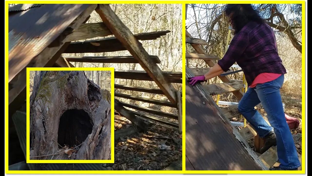 Abandoned barn picking & barn board salvage