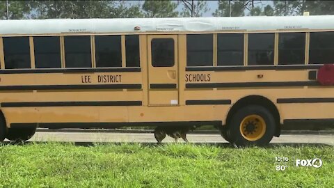 Dog killed by a school bus in Cape Coral, and bystanders say police are to blame