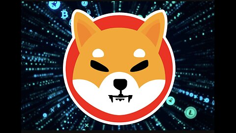 My thoughts on Shiba Inu,” is this dog done?”