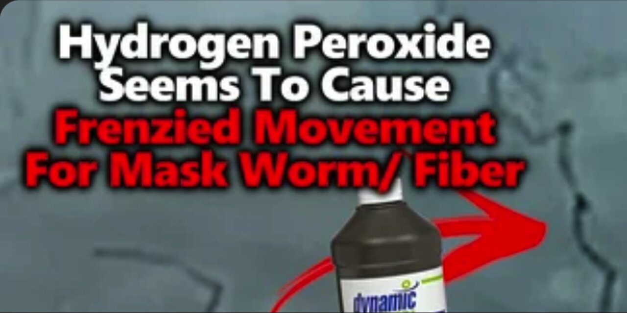 Black Worm-like Mask Fiber Research & Video： Erratic Movement w⧸ Hydrogen Peroxide