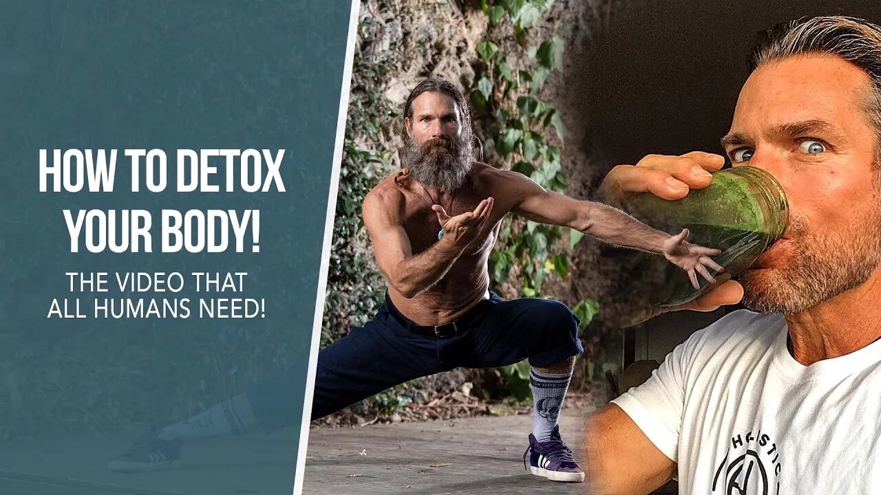 How to Detoxify Your Body & Warning Signs of Toxicity | Troy Casey | holistic health