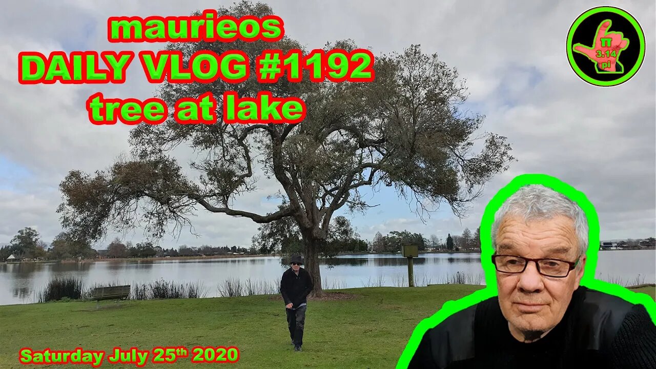 maurieos DAILY VLOG #1192 tree at lake