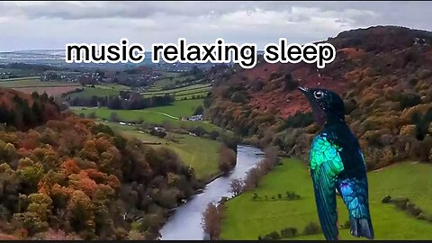 music relaxing - piano - bird sound