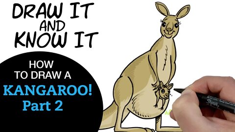 Draw It & Know It | How to Draw a Kangaroo! (Part 2) | Reasons for Hope