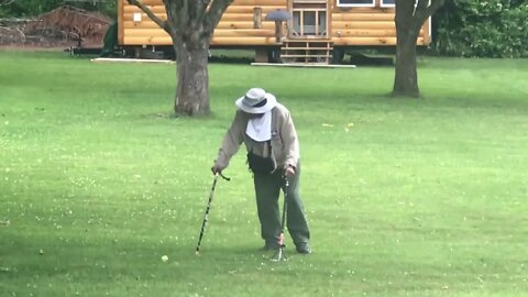 91 yo dad playing croquet with golden retriever’s toy