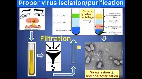 Why diseases are not caused by viruses