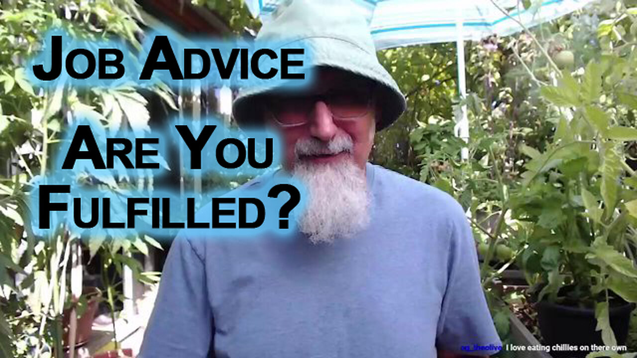 Job Advice: Are You Fulfilled? This Is Your Life, How Do You Want to Live It?