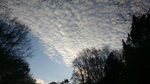 Du bist ein Besen in Meinen Händen
