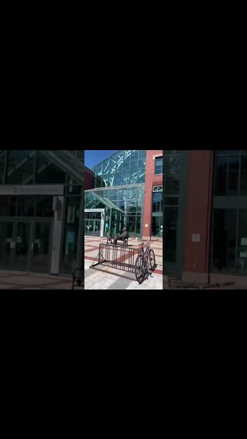 Moncton NB Blue Cross Centre