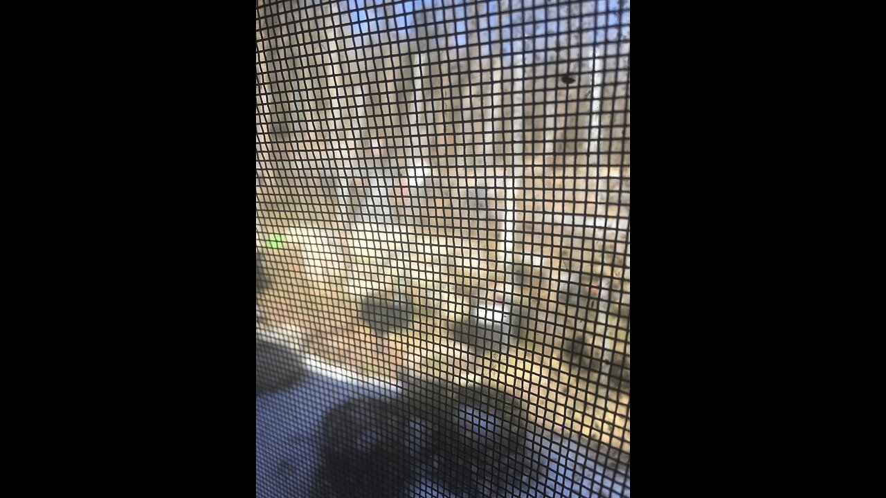 Derek Hunter Show France wall to wall riots