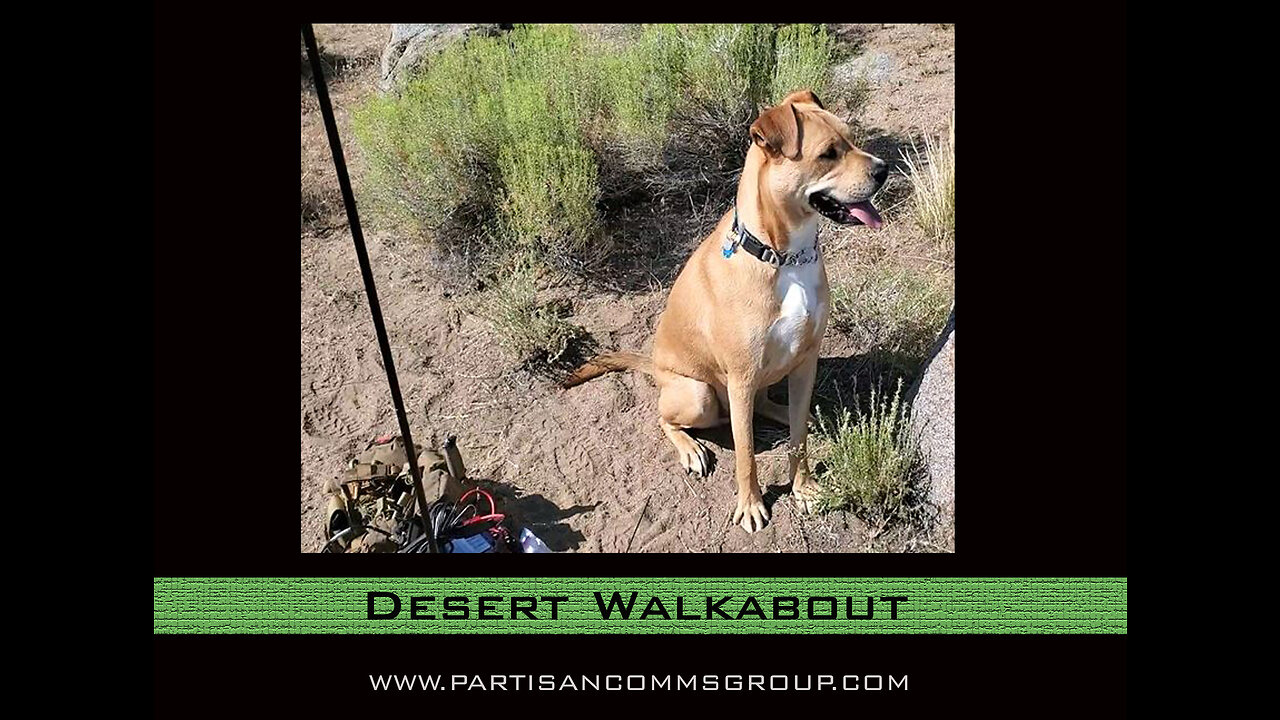 E22: Desert Walkabout