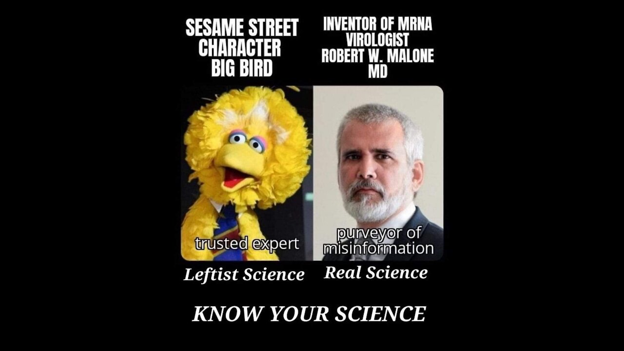 Big Bird vs Joe Rogan + Joe Biden vs Kyle Rittenhouse response