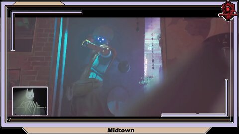 Stray- Midtown