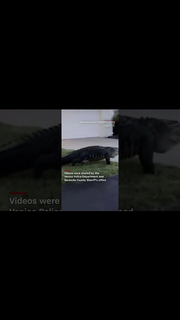 Today News Upcoming news #shorts #news #upcomingnews